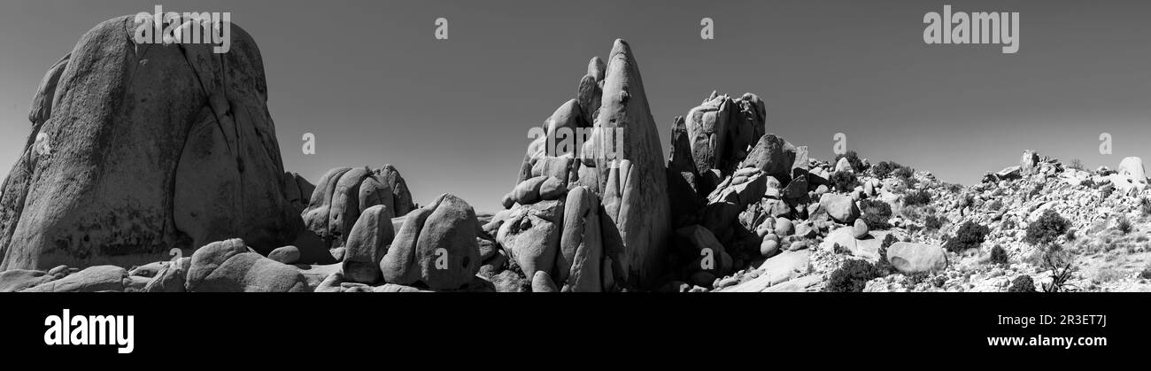 Mattina al Joshua Tree National Park, California, USA, in una splendida giornata primaverile. Foto Stock