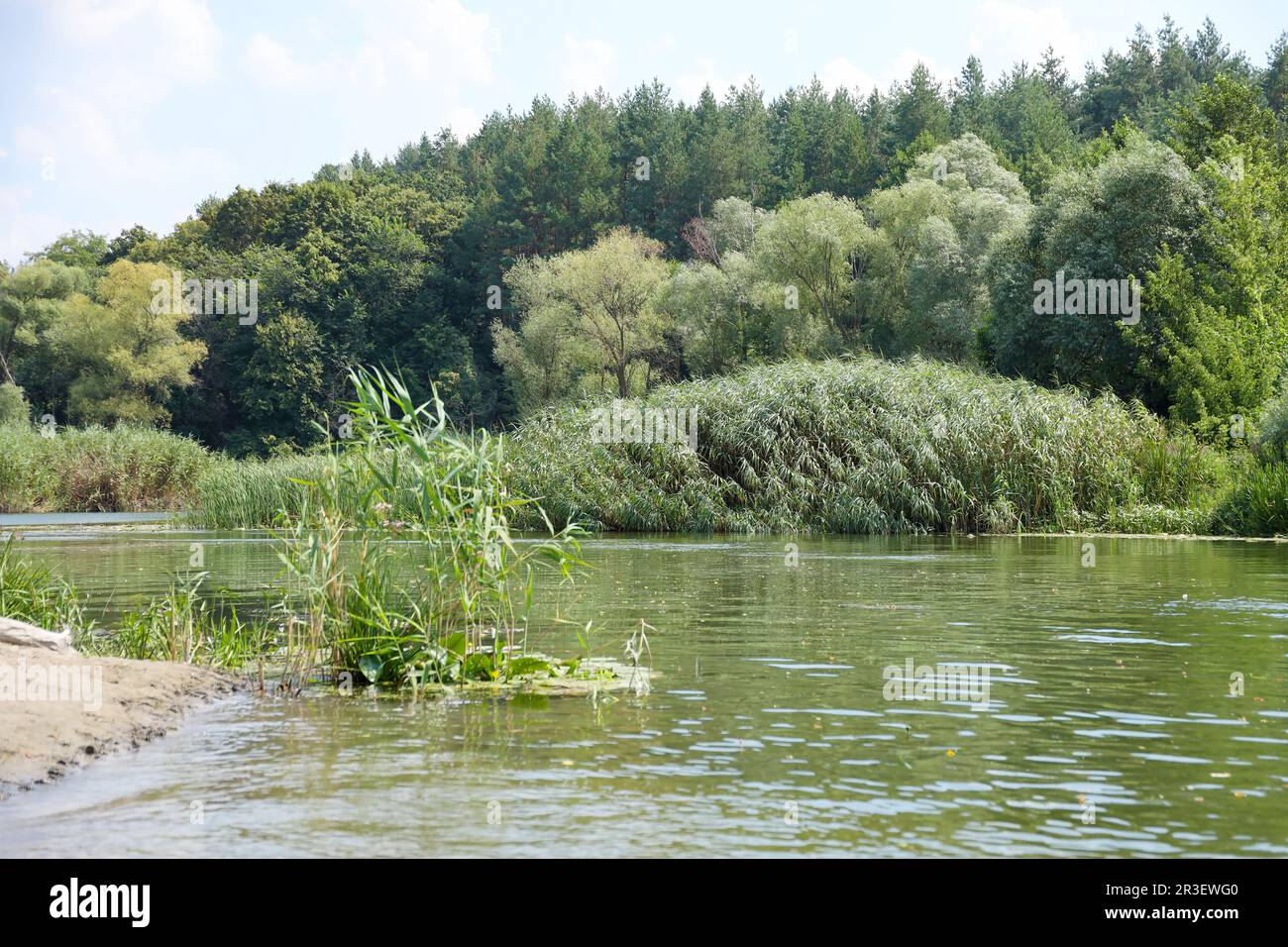 Sole mattina primavera sul prato vicino al fiume. Paesaggio rurale panoramico. Primavera sfondo soleggiato Foto Stock