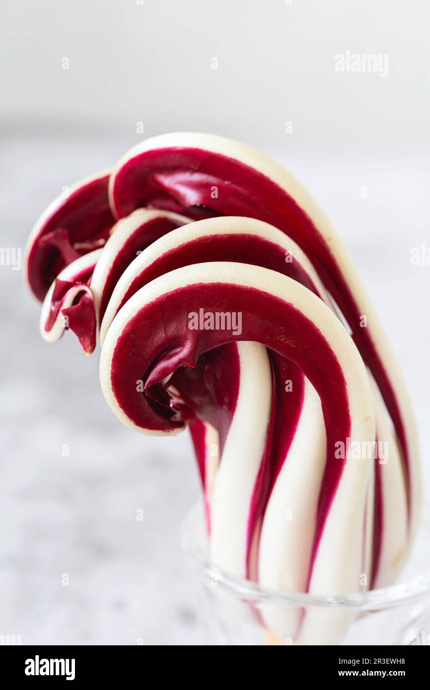 Radicchio Rosso di Treviso. Rosso brillante dal sapore leggermente amaro, Radicchio Rosso di Treviso utilizza acqua di sorgente naturale per b Foto Stock