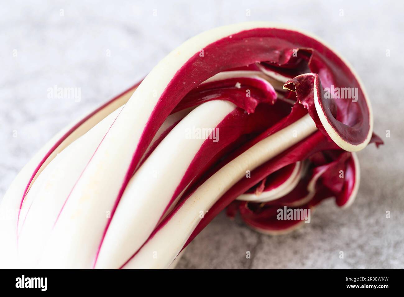 Radicchio Rosso di Treviso. Rosso brillante dal sapore leggermente amaro, Radicchio Rosso di Treviso utilizza acqua di sorgente naturale per b Foto Stock