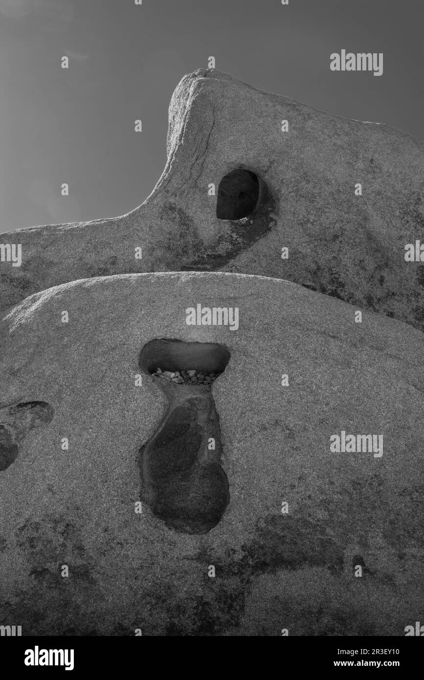 Mattina al Joshua Tree National Park, California, USA, in una splendida giornata primaverile. Foto Stock