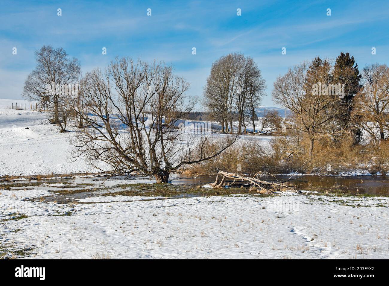Prato inondato in disgelo Foto Stock