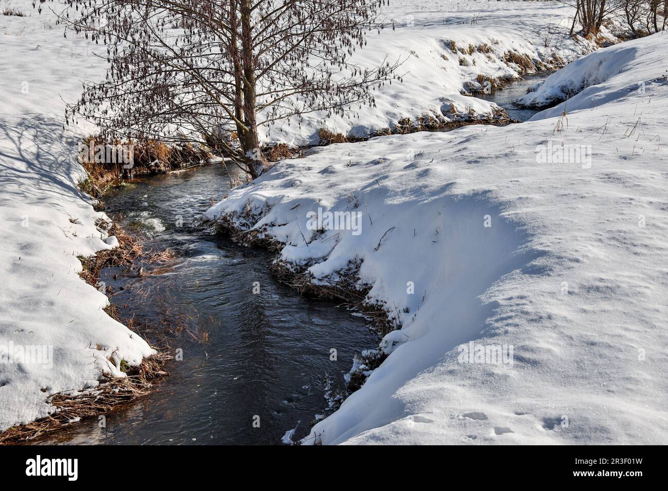 Ruscello in resina invernale Foto Stock