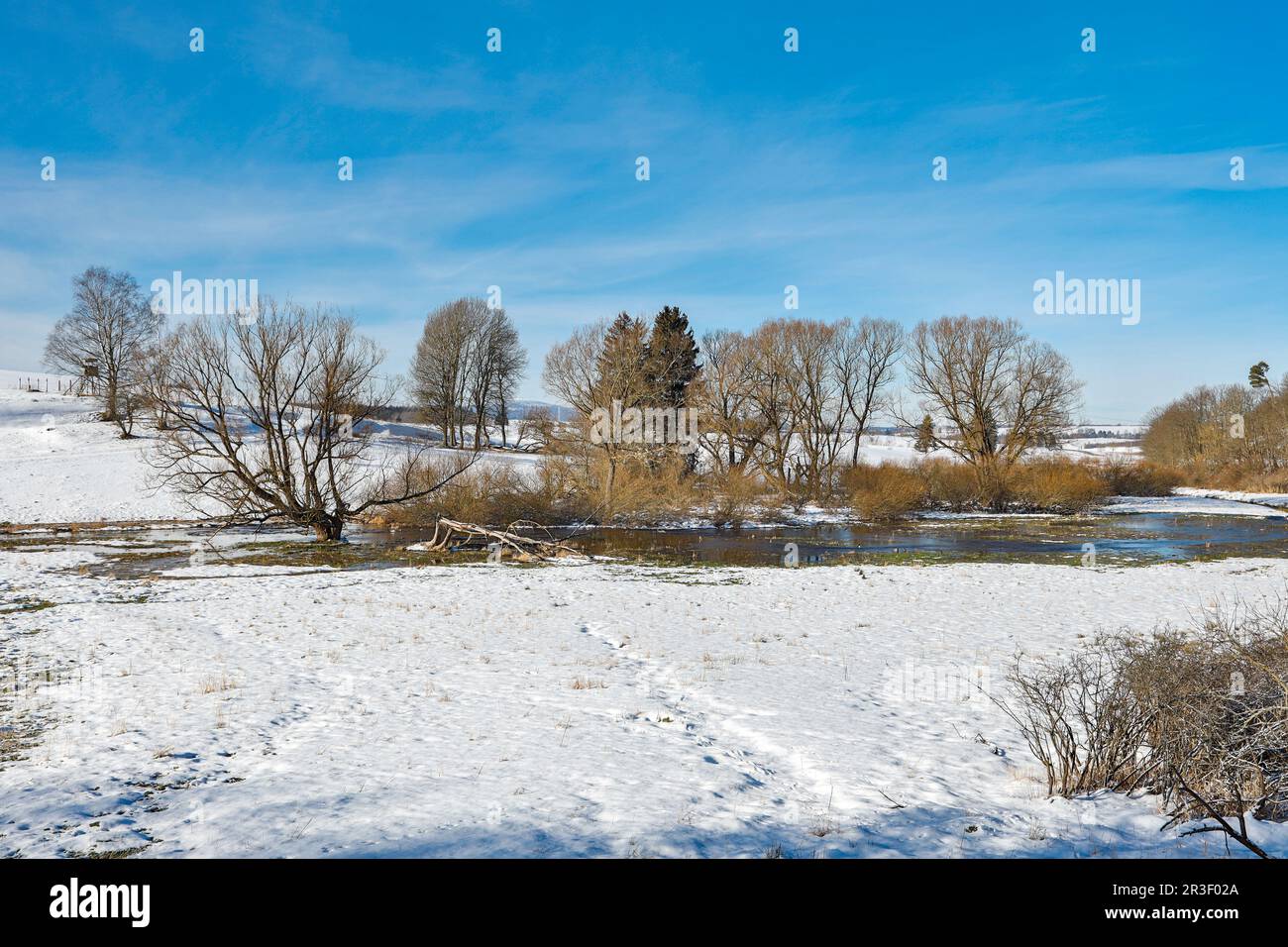 Prato inondato in disgelo Foto Stock