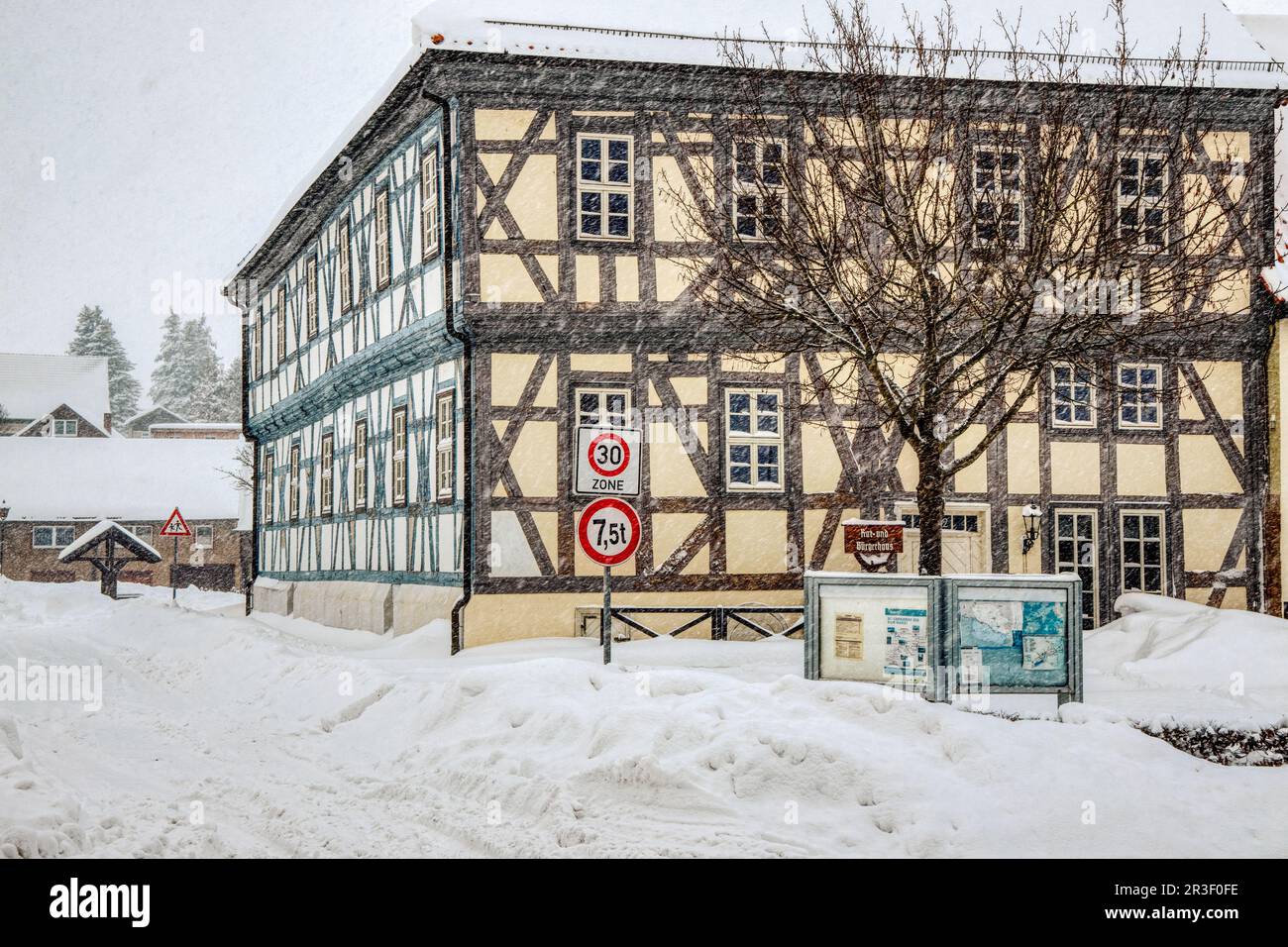 GÃ¼ntersberge nella Harz Selketal impressioni invernali Foto Stock