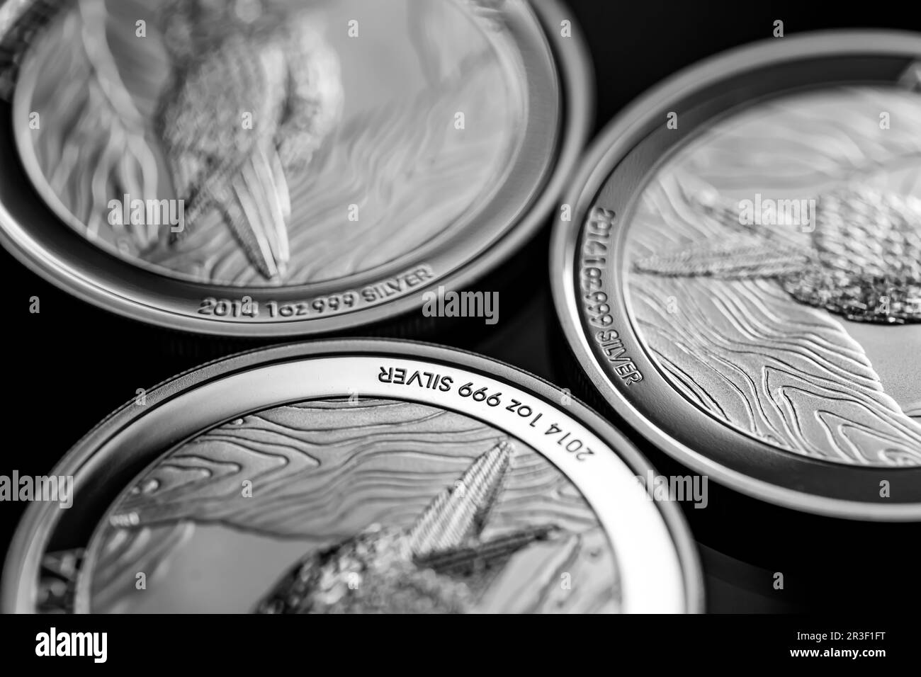 Primo piano di Silver Bullion Coin su uno sfondo a specchio nero Foto Stock