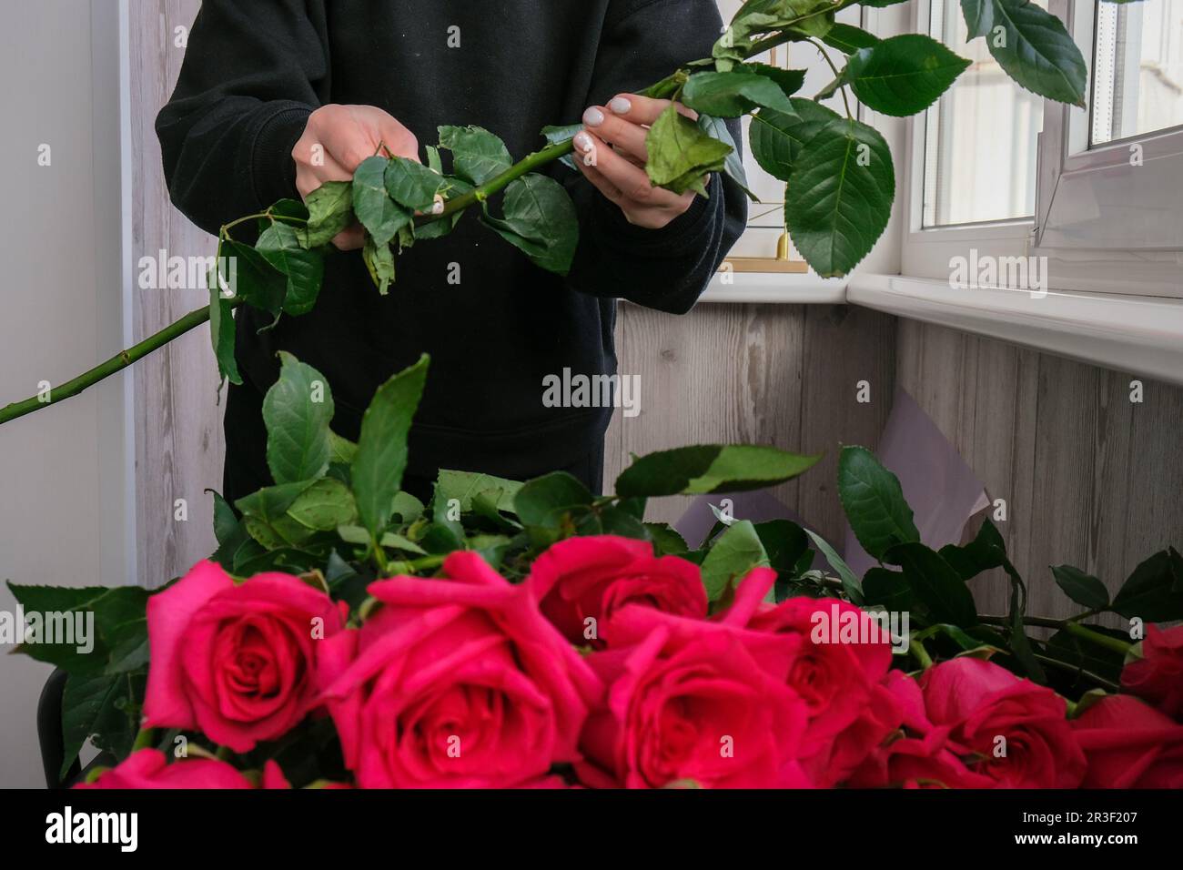 Fiorista che organizza un bouquet di rose rosa. Primo piano fiorista che lavora taglio rose gambo con potatura cesoia mentre fare compos Foto Stock