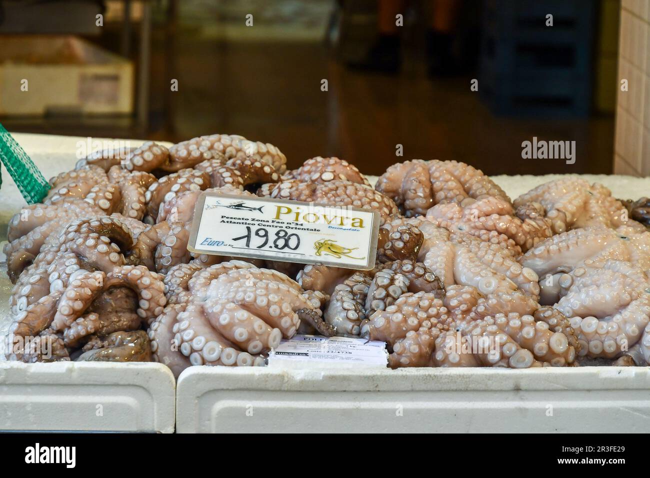 Primo piano di polpi in vendita al mercato ittico di Rialto nel sestiere di San Polo, Venezia, Veneto, Italia Foto Stock