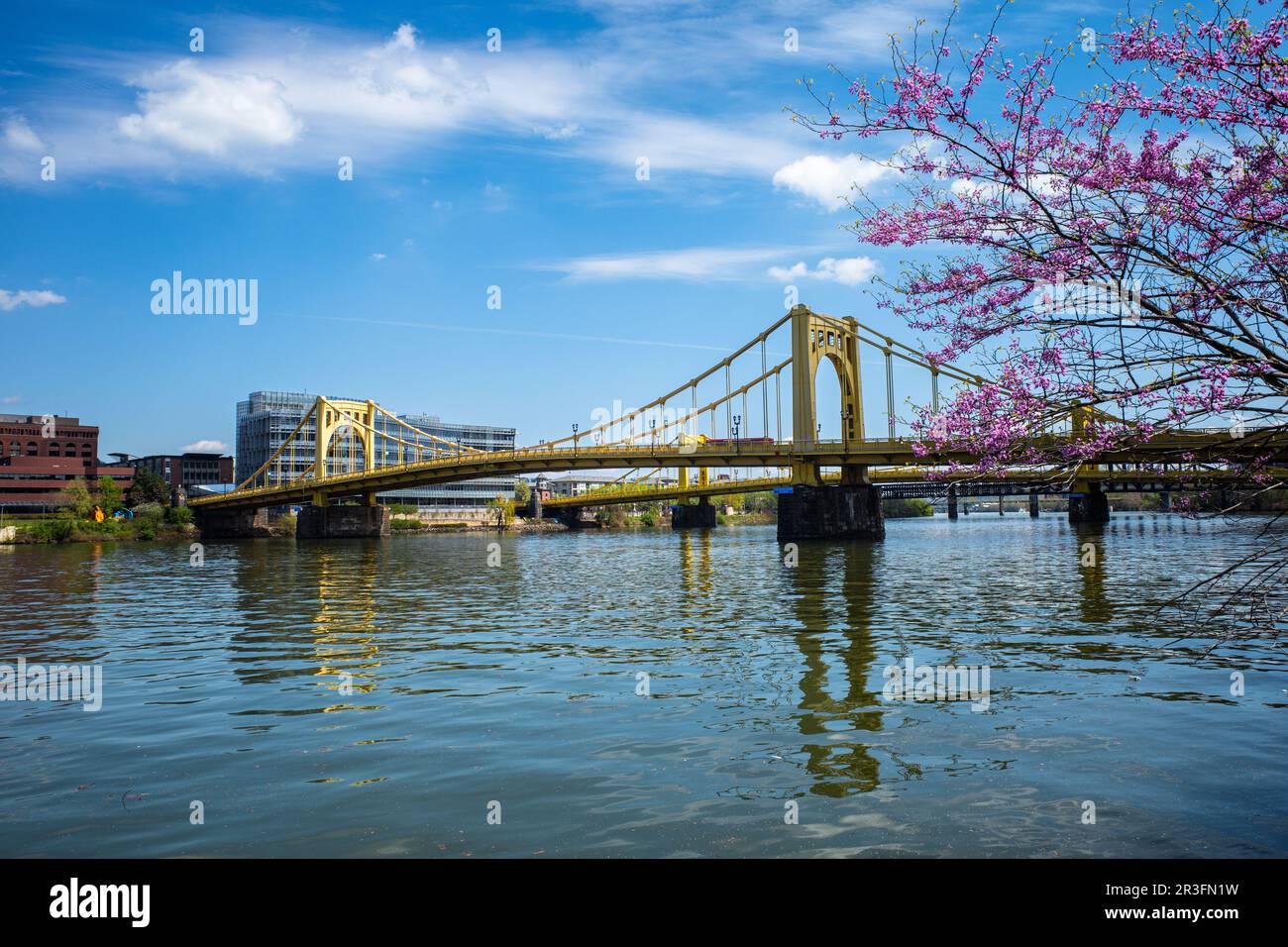 Fiori di ciliegio e cielo blu incorniciano il ponte Andy Warhol e il ponte Rachel Carson sul fiume Allegheny a Pittsburgh, Pennsylvania. Foto Stock