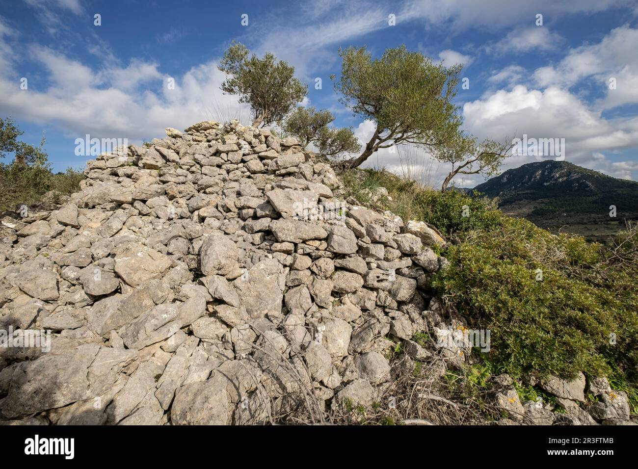 túmulo de Son Ferrandell-Son Oleza, i milenio a C., Valldemossa, Mallorca, Isole Baleari, spagna. Foto Stock