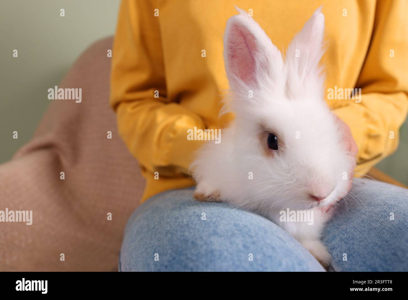 Donna con soffice coniglio bianco, primo piano. Animale domestico carino Foto Stock