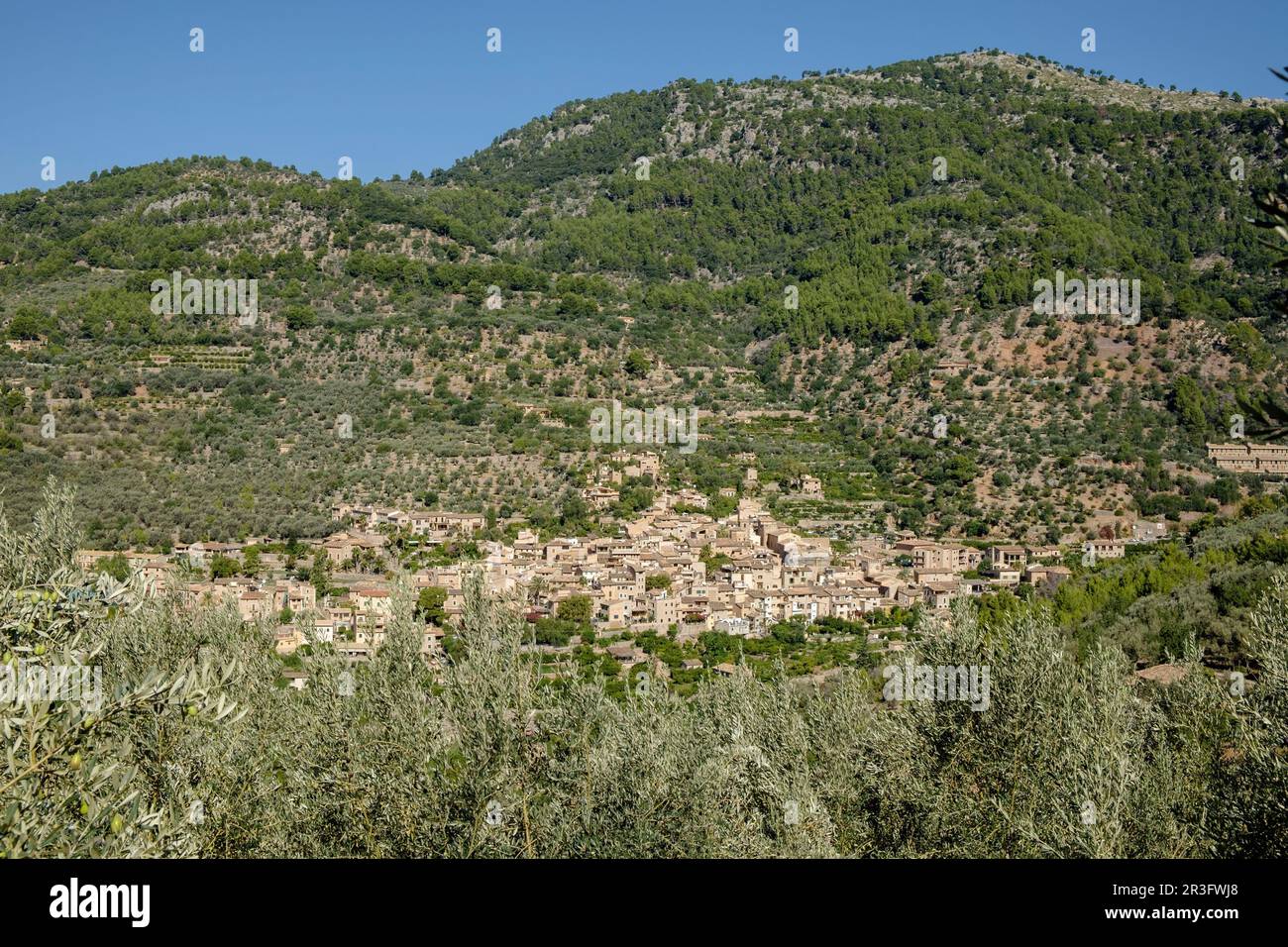 Fornalutx, valle de Soller, Mallorca, Isole baleari, Spagna. Foto Stock