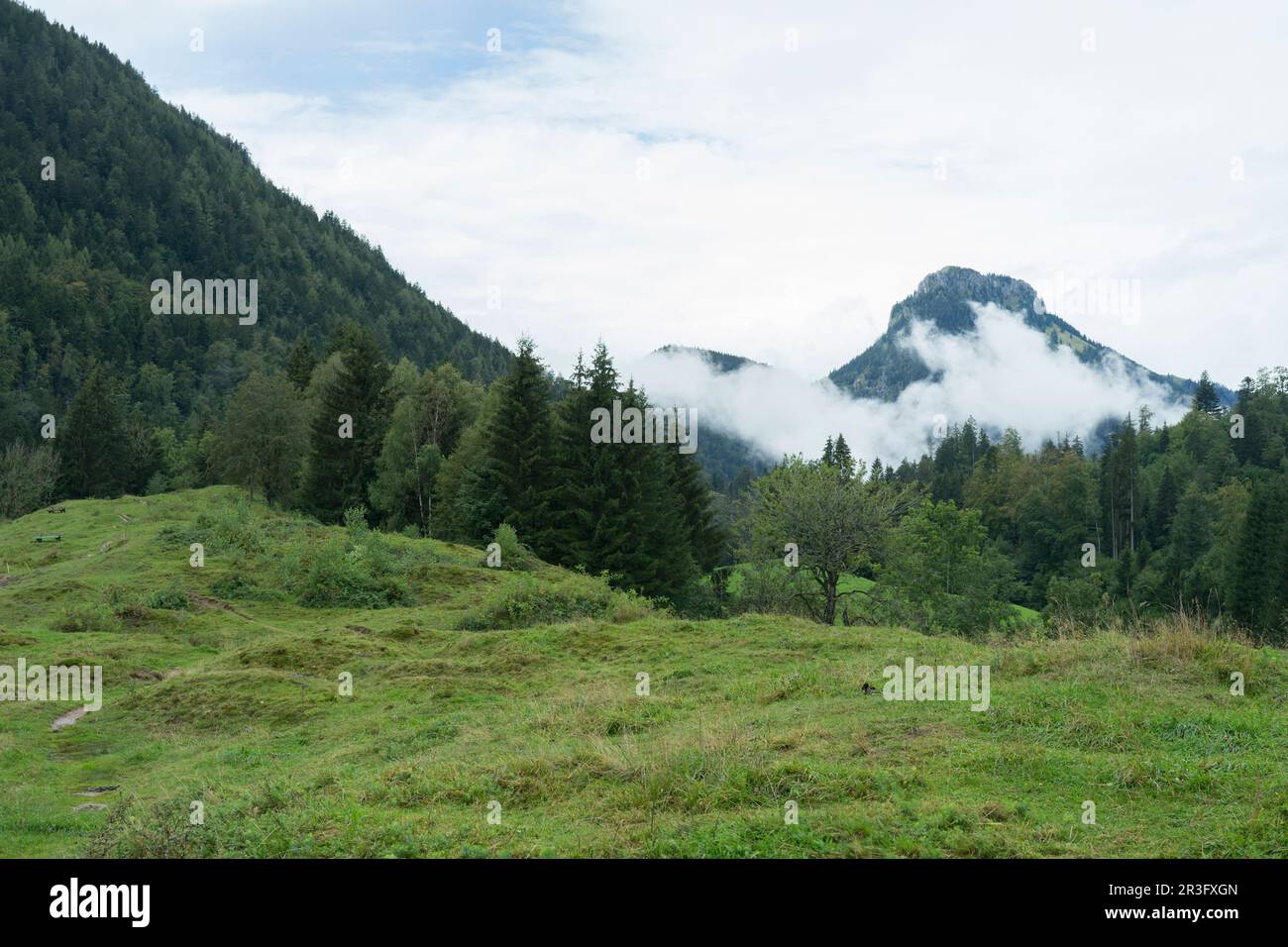 Bella vista sulle alpi bavaresi: Il bruennstein è una montagna famosa Foto Stock