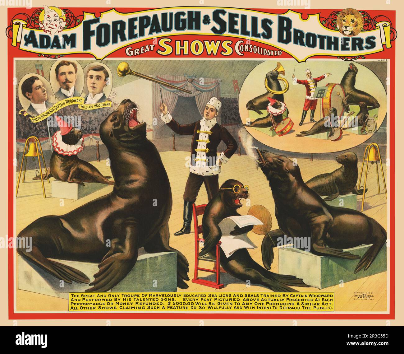 Poster del circo vintage per Adam Forepaugh & Sells Brothers, che mostra leoni marini che si esibiscono nell'anello del circo. Foto Stock