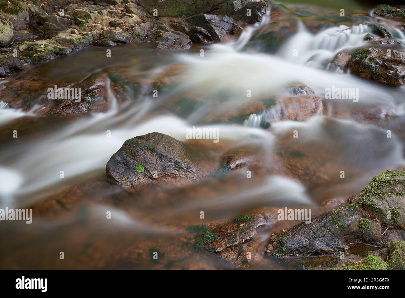 Il fiume Ilse a Ilsenburg ai piedi del Brocken nel Parco Nazionale di Harz in Germania Foto Stock