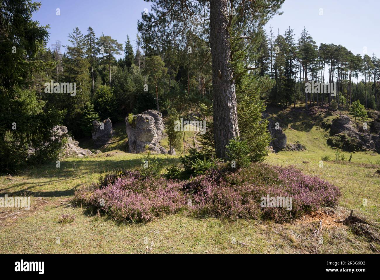 Wental - una valle famosa vicino heidenheim Foto Stock