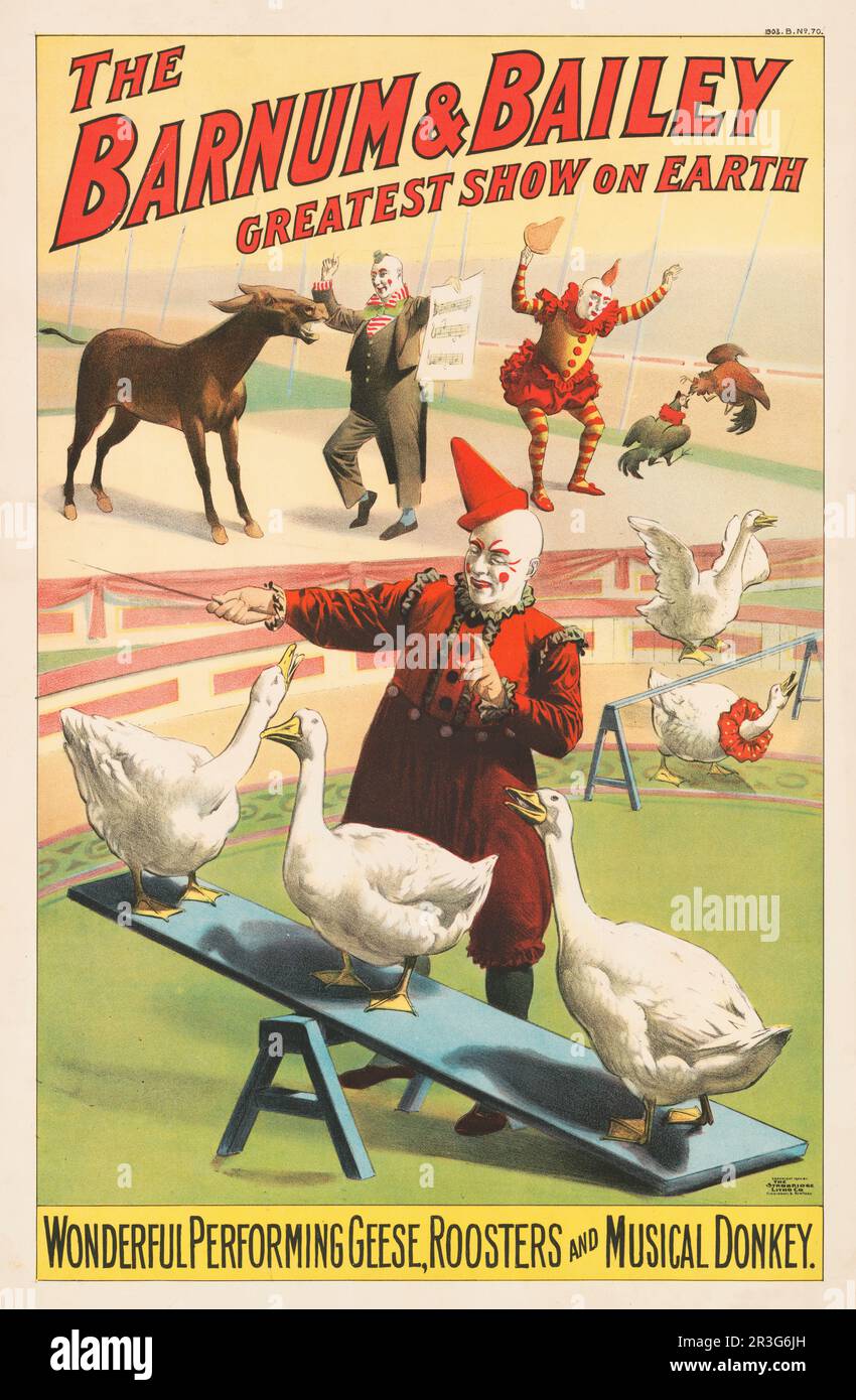 Poster del circo Barnum & Bailey vintage che mostra clown con oche, galli e asini, circa 1900. Foto Stock