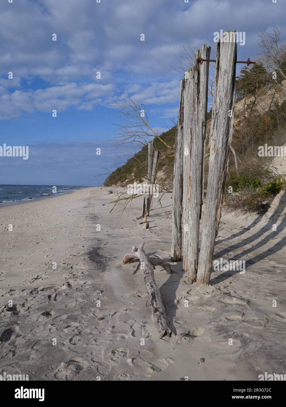 Vecchi pali di legno sulla spiaggia Foto Stock