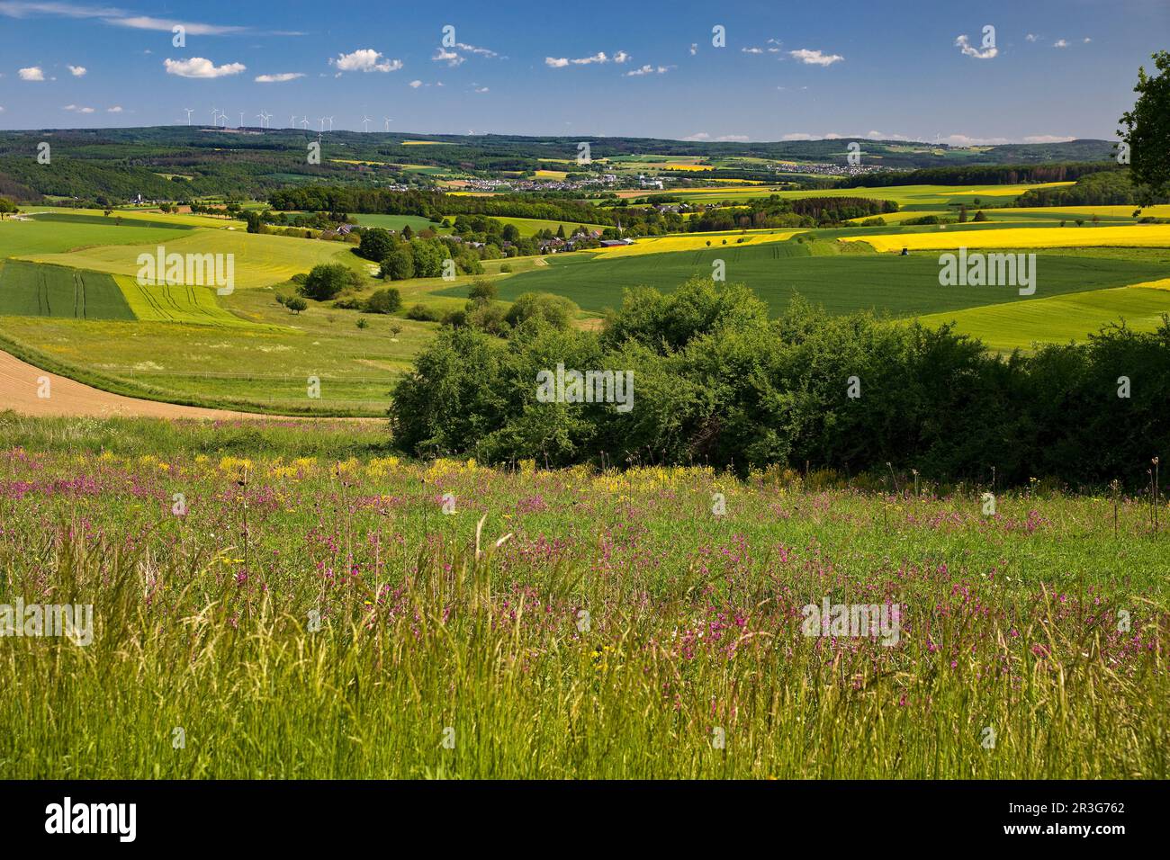 Paesaggio culturale nel distretto Rhein-Lahn, Renania-Palatinato, Germania, Europa Foto Stock