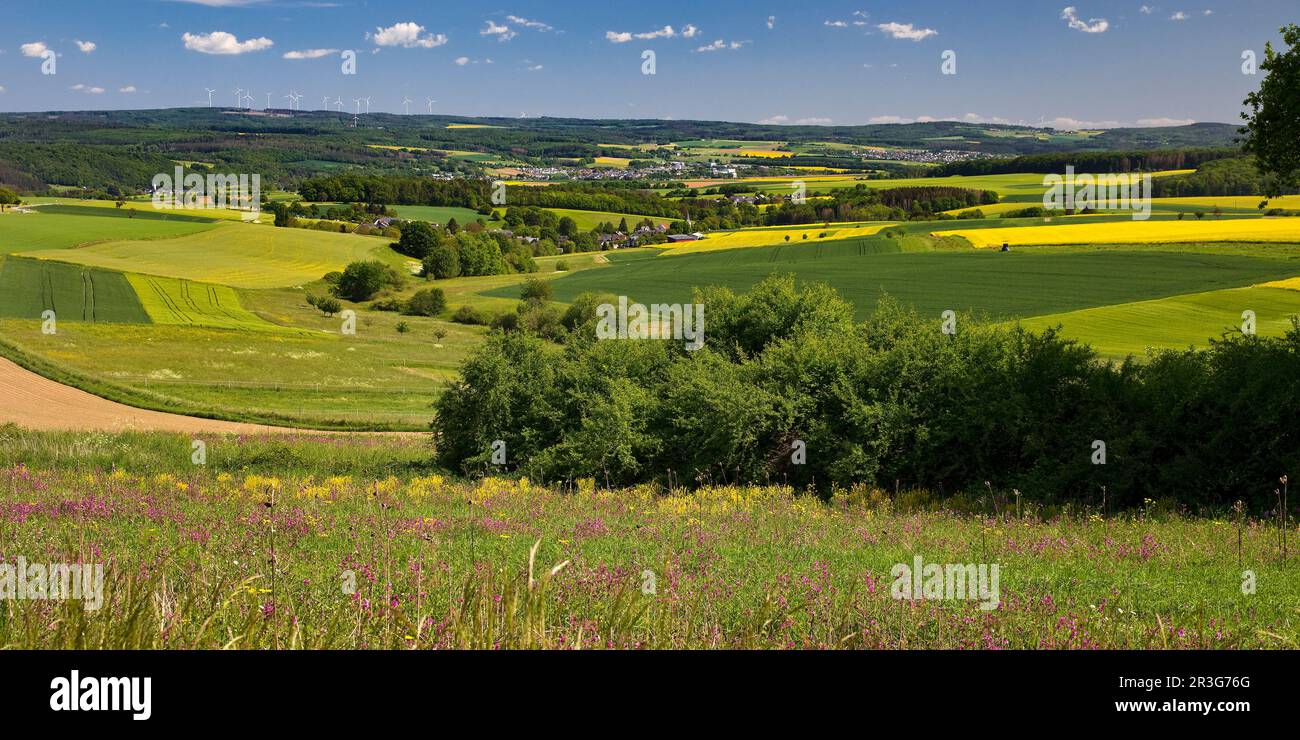 Paesaggio culturale nel distretto Rhein-Lahn, Renania-Palatinato, Germania, Europa Foto Stock