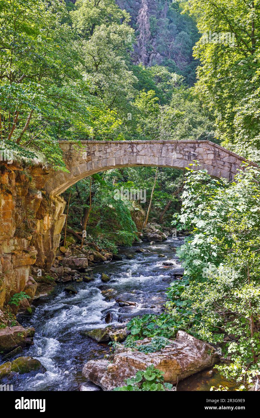 Destinazione Bodetal nei Monti Harz Sassonia Anhalt Foto Stock