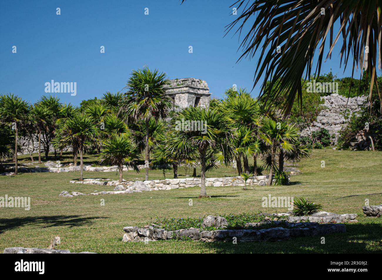 Le rovine conservate di Tulum si trova sulla costa caraibica della penisola dello Yucatan in Messico Foto Stock