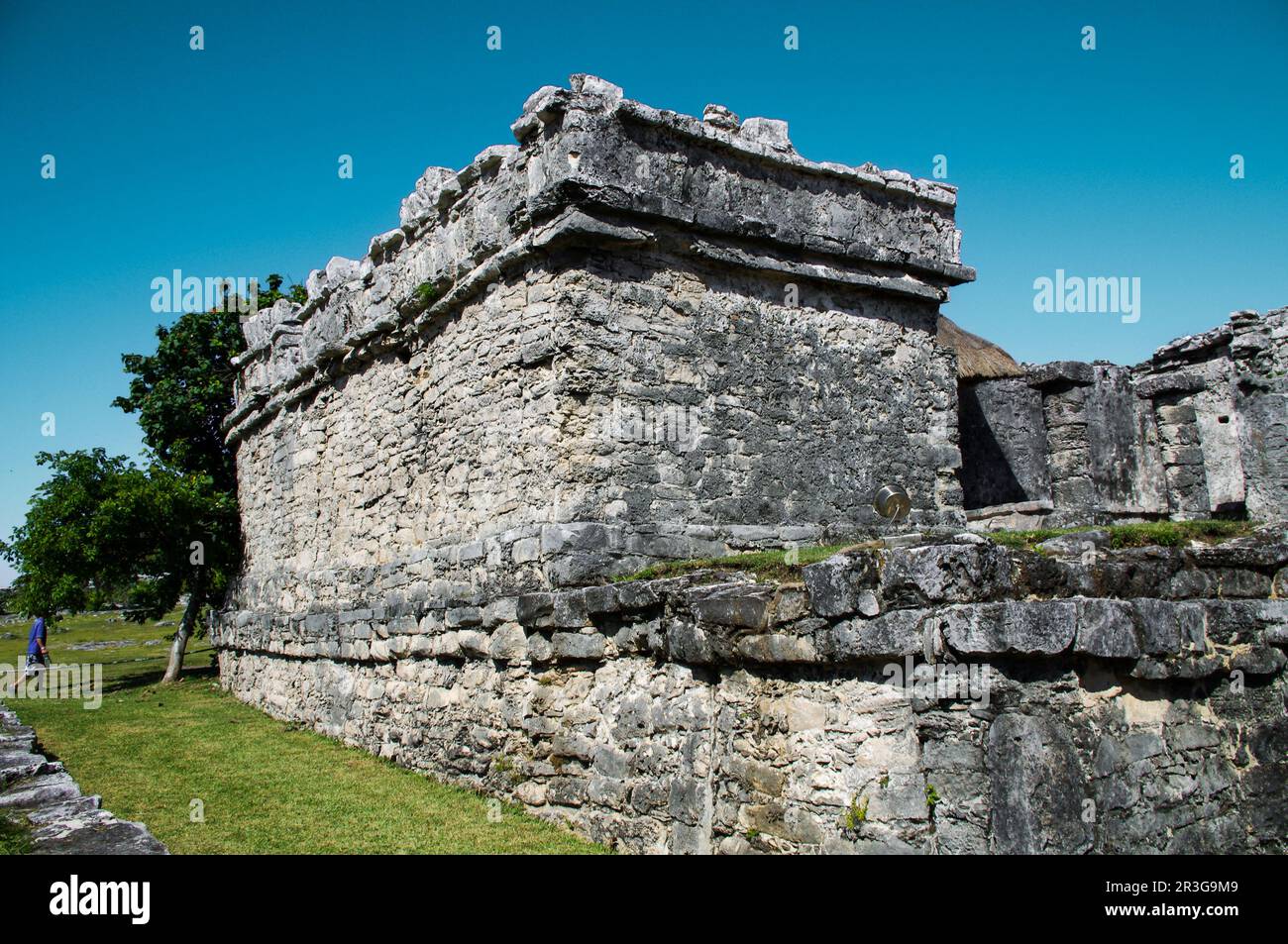 Le rovine conservate di Tulum si trova sulla costa caraibica della penisola dello Yucatan in Messico Foto Stock