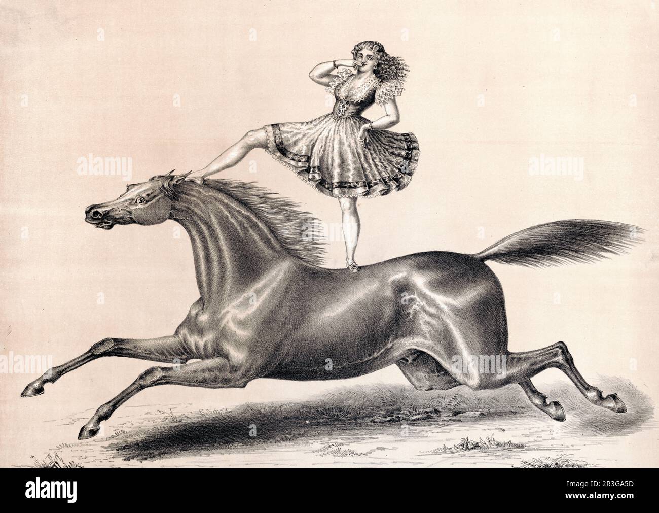 Stampa vintage che mostra un'artista di circo femminile in piedi e a cavallo senza sosta. Foto Stock