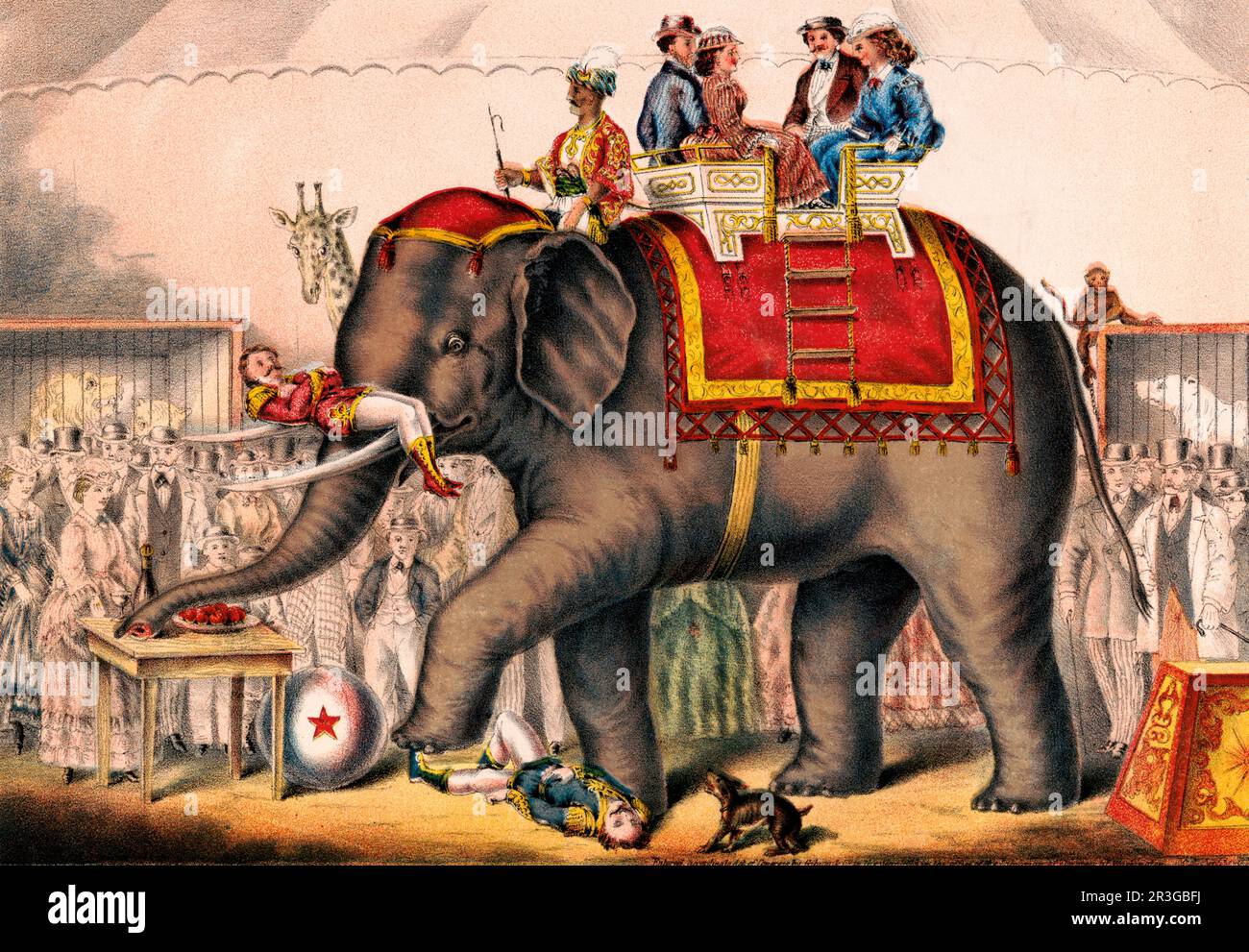 Stampa vintage di uomini che eseguono un atto circo con un elefante. Foto Stock