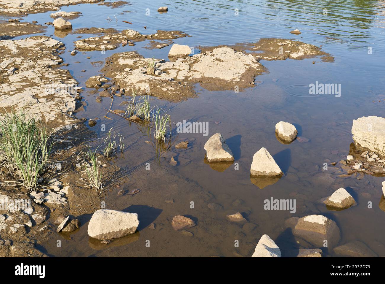 Letto del fiume Elba a Magdeburg, in Germania, durante la grave siccità estiva Foto Stock
