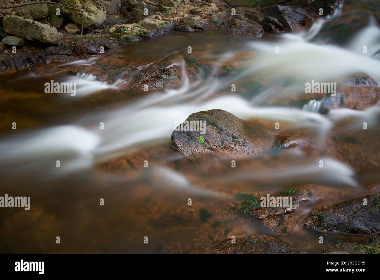 Il romantico fiume Ilse vicino Ilsenburg, ai piedi del Brocken, nel Parco Nazionale di Harz, in Germania Foto Stock