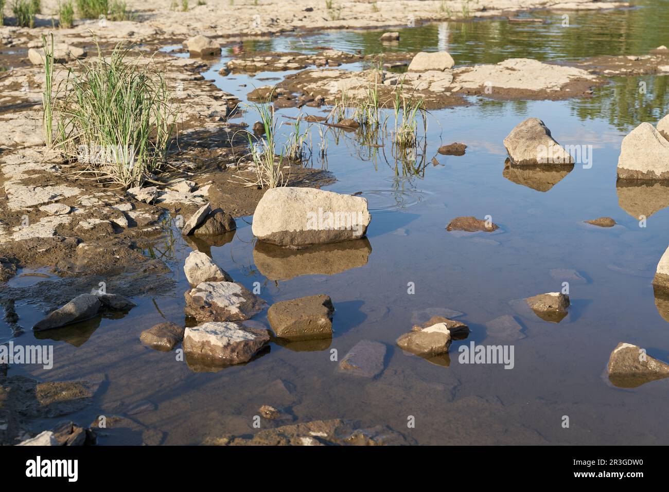Letto del fiume Elba a Magdeburg, in Germania, durante la grave siccità estiva Foto Stock