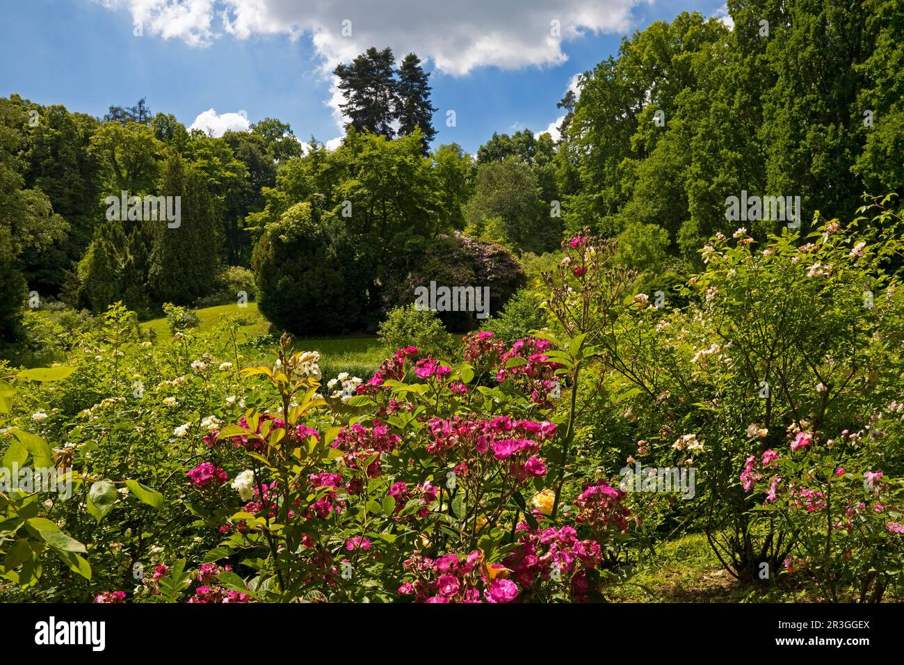 Roseninsel a Bergpark Wilhelmshoehe, patrimonio dell'umanità dell'UNESCO, Kassel, Assia, Germania, Europa Foto Stock