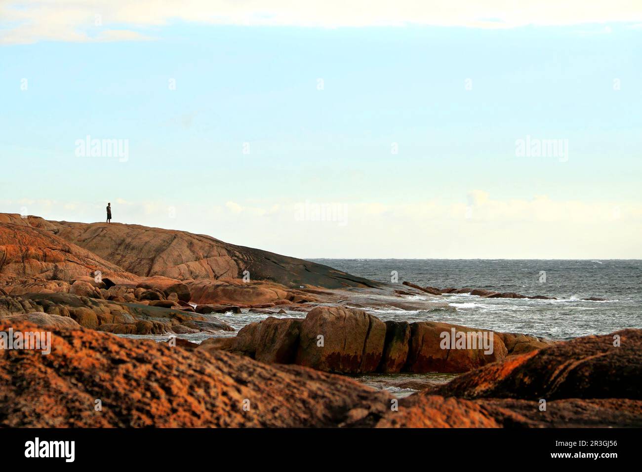 Uomo in piedi sulle rocce costiere, Augusta, Australia sud-occidentale Foto Stock