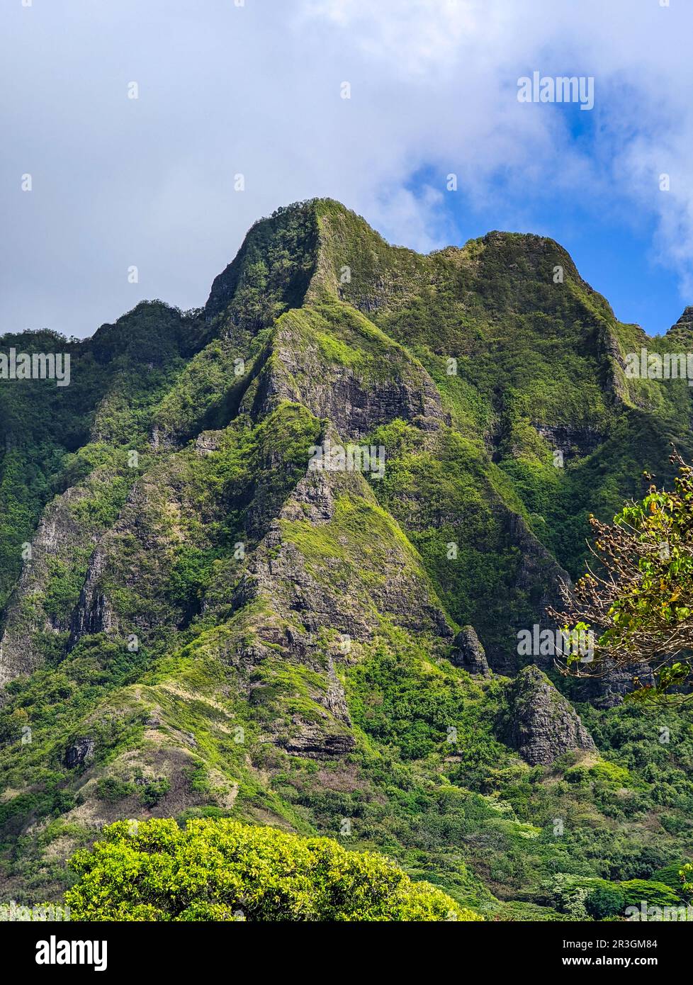Kualoa mountain range vista panoramica, famosa location del film su Oahu Island, Hawaii Foto Stock