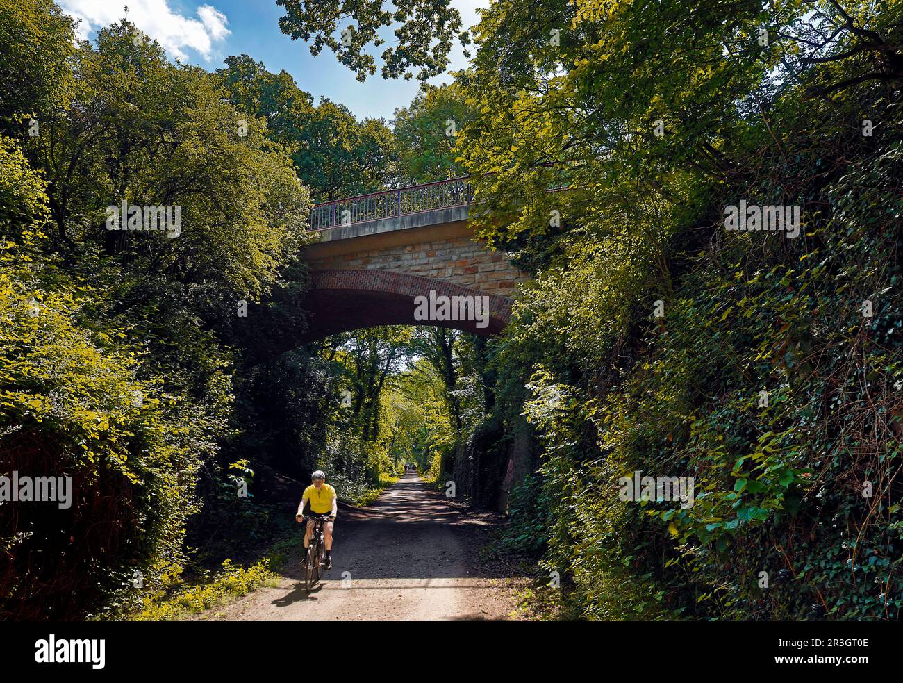 Ponte sulla pista ciclabile Rheinischer Esel con ciclisti, Dortmund, Ruhr, Germania, Europa Foto Stock