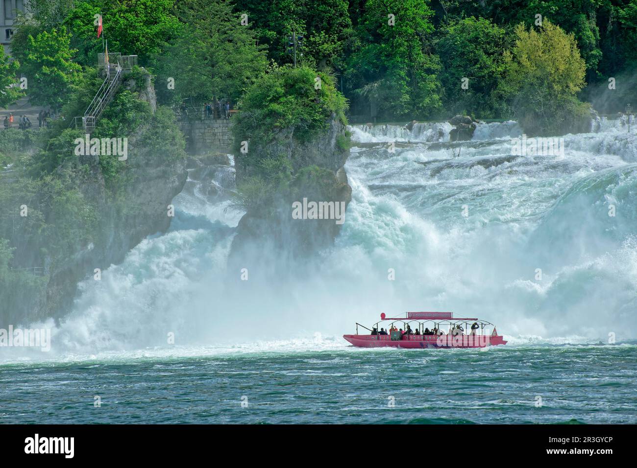 Cascate del Reno nei pressi di Schaffhausen, cascata con barca da escursione, Laufen-Uhwiesen am Rheinfall, Canton Zurigo, Svizzera Foto Stock