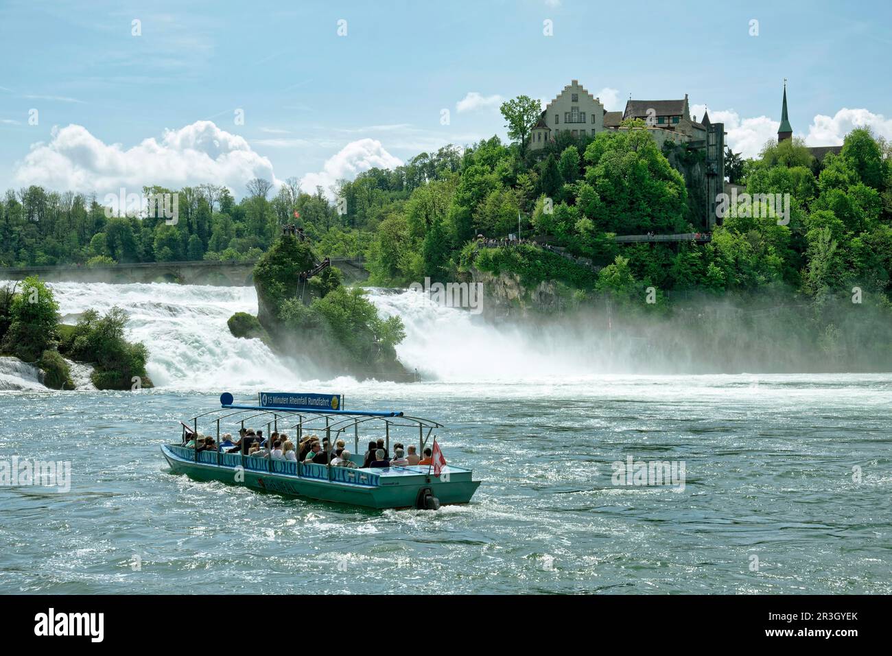 Cascate del Reno nei pressi di Schaffhausen, cascata con il castello di Laufen, Laufen-Uhwiesen am Rheinfall, Canton Zurigo, Svizzera Foto Stock