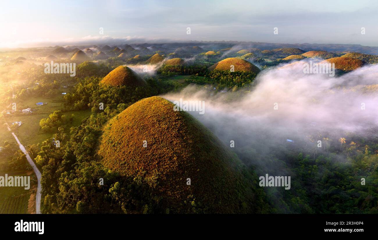 Le colline di cioccolato sono una formazione geologica in Bohol Provincia delle Filippine. Foto Stock