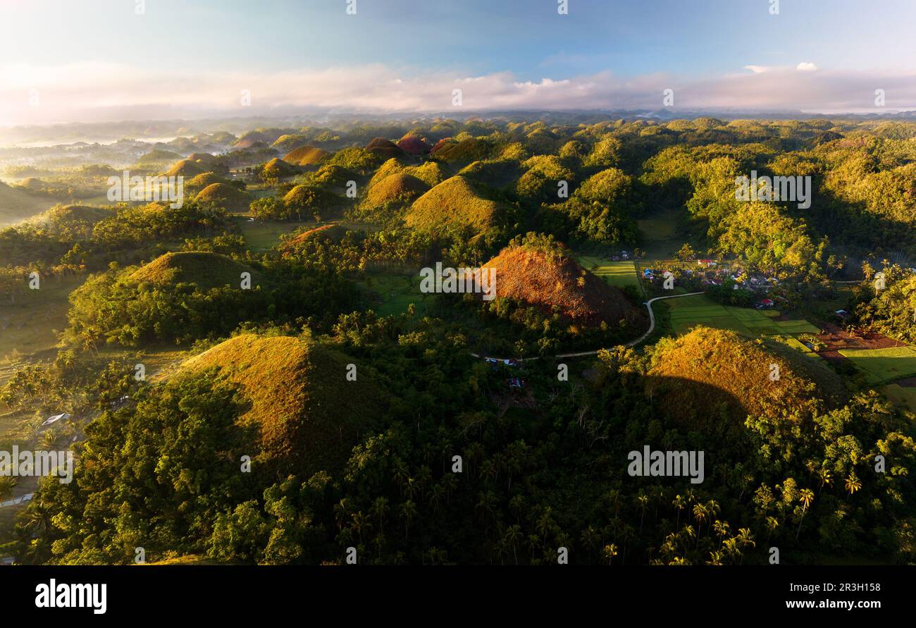 Le colline di cioccolato sono una formazione geologica in Bohol Provincia delle Filippine. Foto Stock