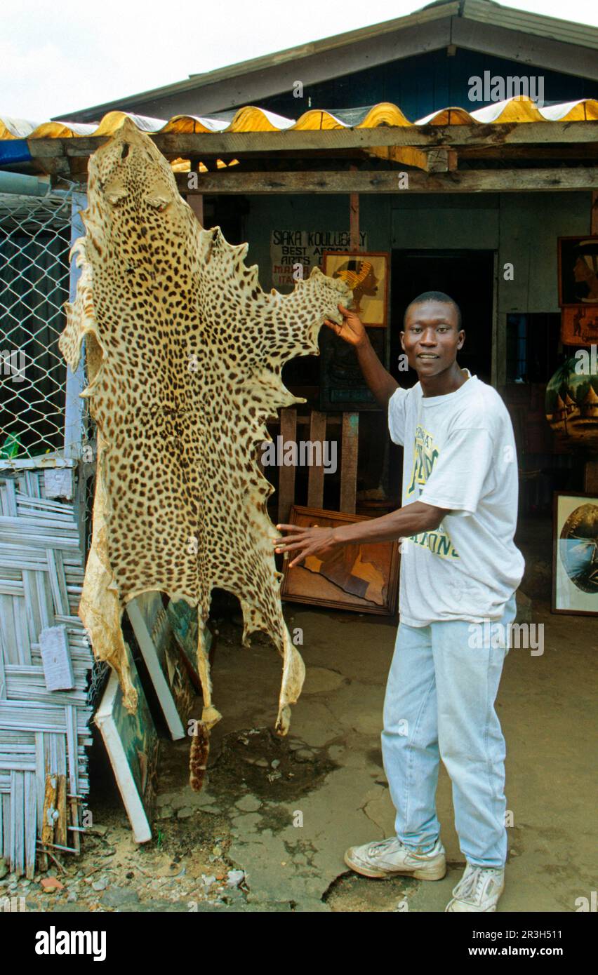 Leopardo africano niche leopardi (Panthera pardus), gatti predatori, predatori, mammiferi, animali, Prodotti animali, pelle leopardata in vendita, CITES Foto Stock