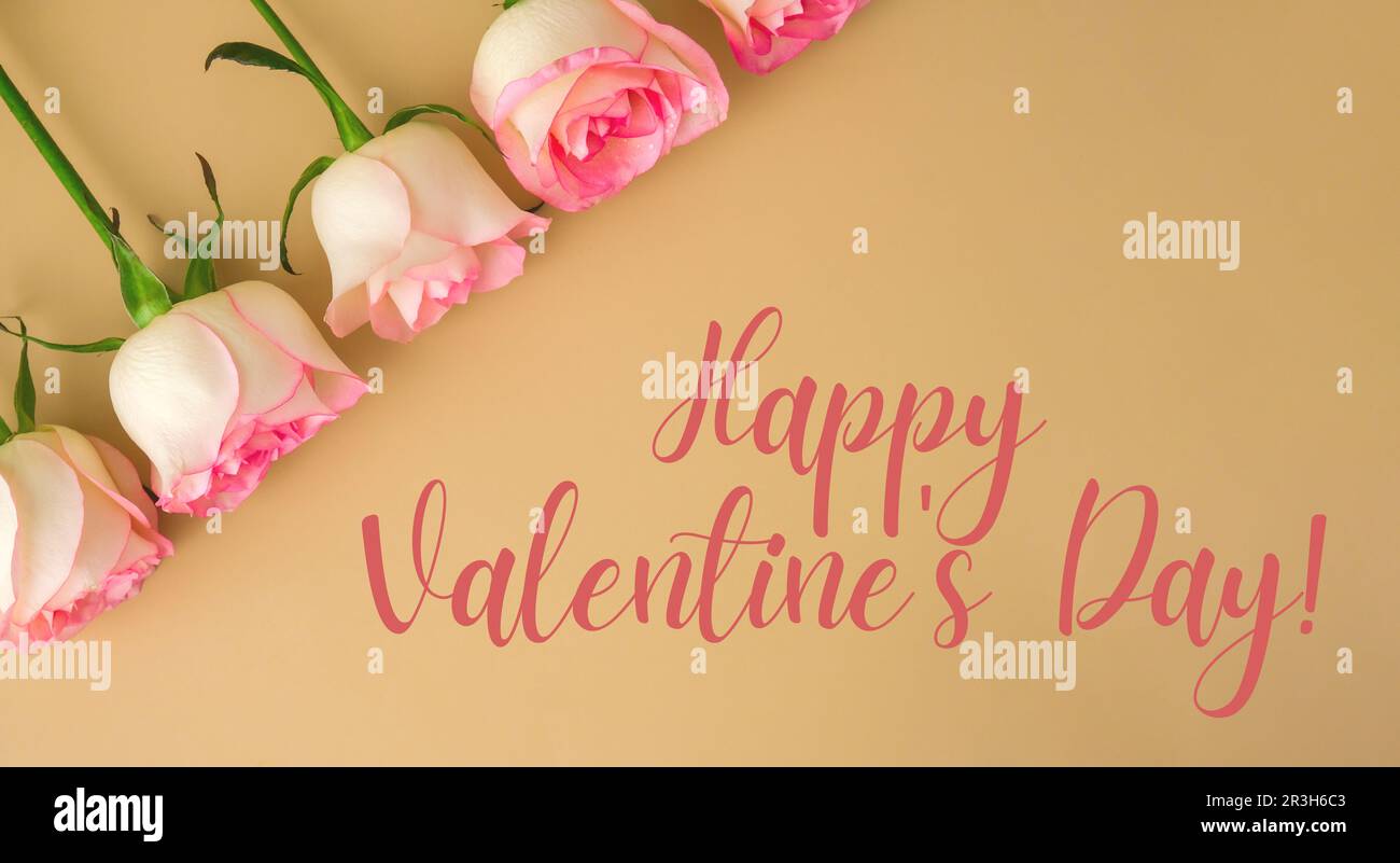Delicate rose rosa su sfondo beige con buon testo DI SAN VALENTINO. Composizione minimale alla moda. Romantico rosa pastello fl Foto Stock
