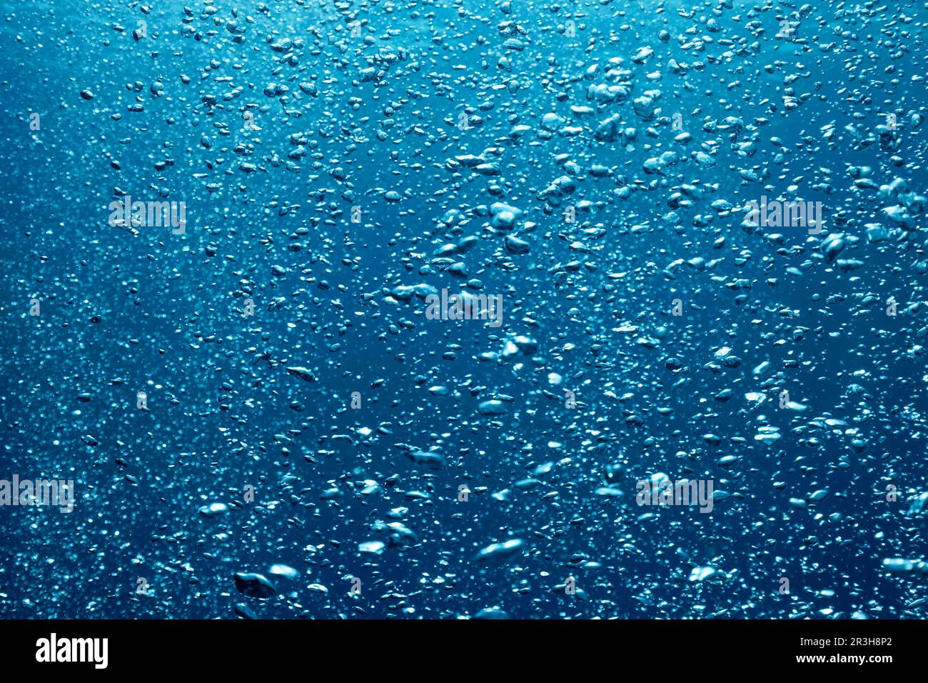 In acqua, sotto acqua, sott'acqua che sale molti, piccole bolle, cortina di bolle, Cortina di bolle, blu, mare di Sulu, Oceano Pacifico, Palawan, Calamiano Foto Stock