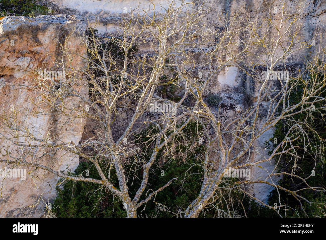 Vecchia cava di arenaria, SA Mola, Felanitx, Maiorca, Isole Baleari, Spagna. Foto Stock