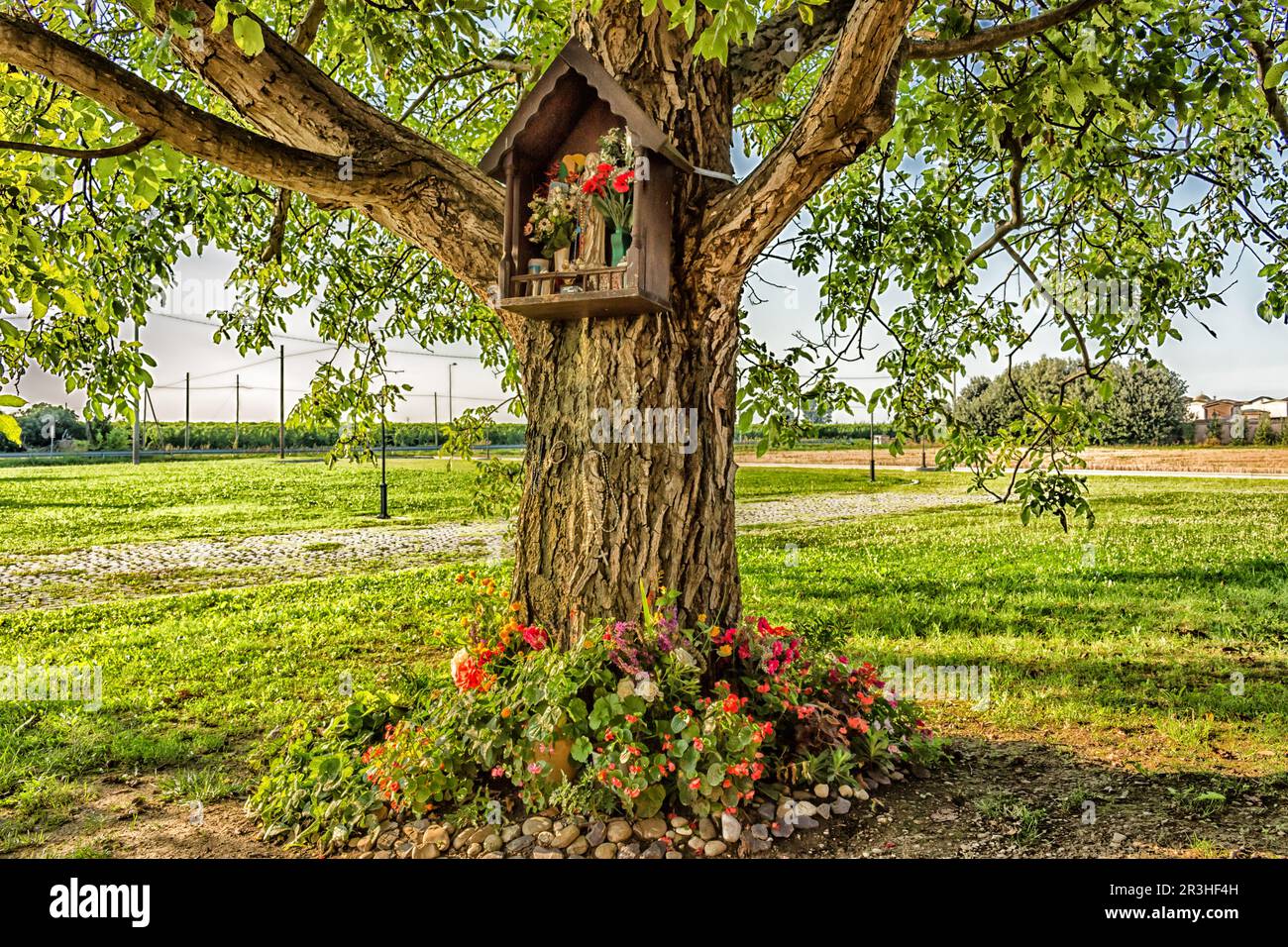 Aedicula votiva su un albero Foto Stock