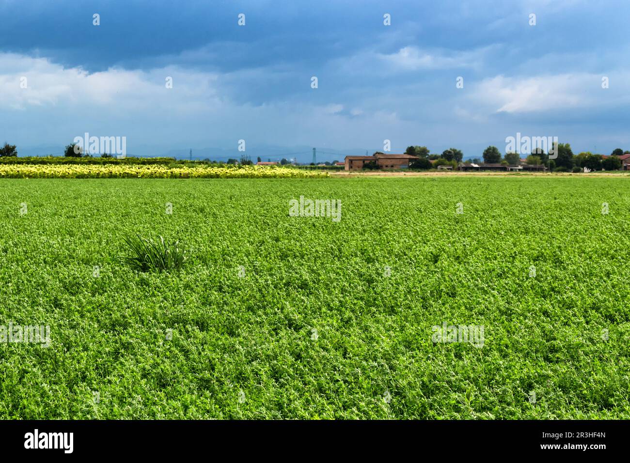 Campi coltivati Foto Stock Campi coltivati Foto Stock