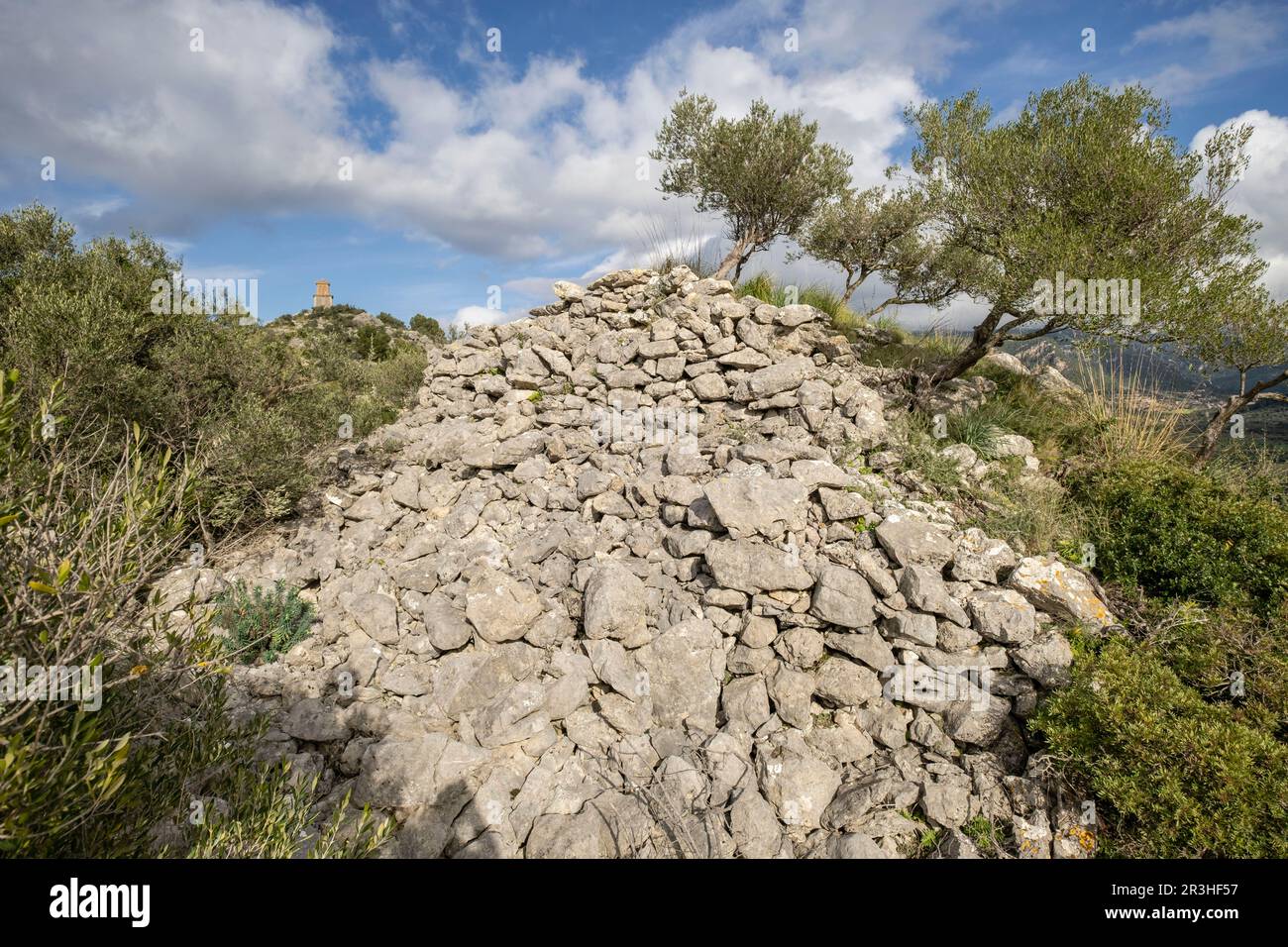 túmulo de Son Ferrandell-Son Oleza, i milenio a C., Valldemossa, Mallorca, Isole Baleari, spagna. Foto Stock