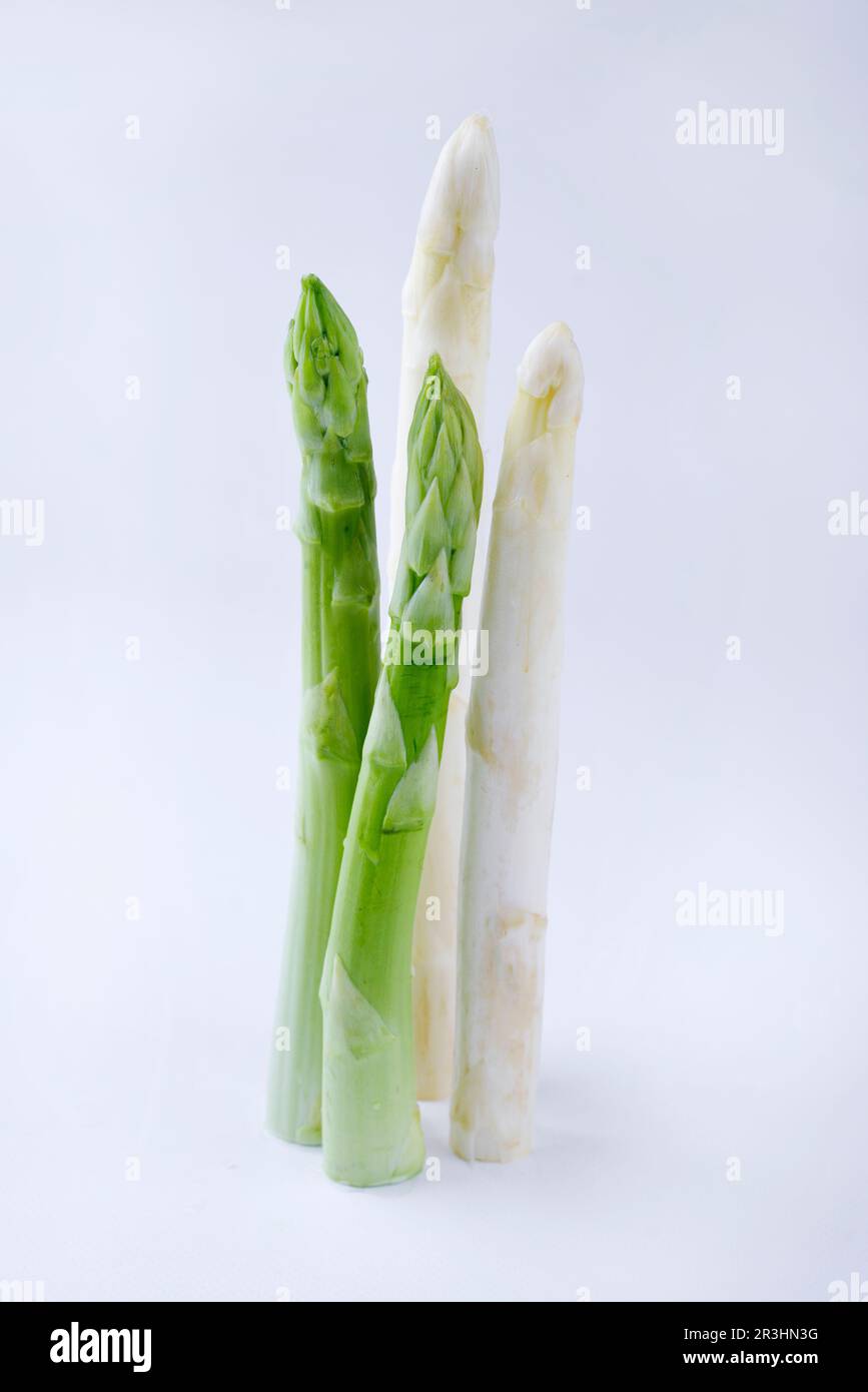 Due lance grezze di Asparagus bianche e verdi come elemento di design su sfondo bianco con spazio di copia Foto Stock