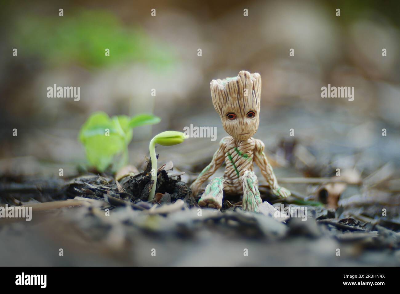 Baby Groot è seduto nel giardino verde del parco pubblico. Chiang mai, Thailandia. Foto Stock