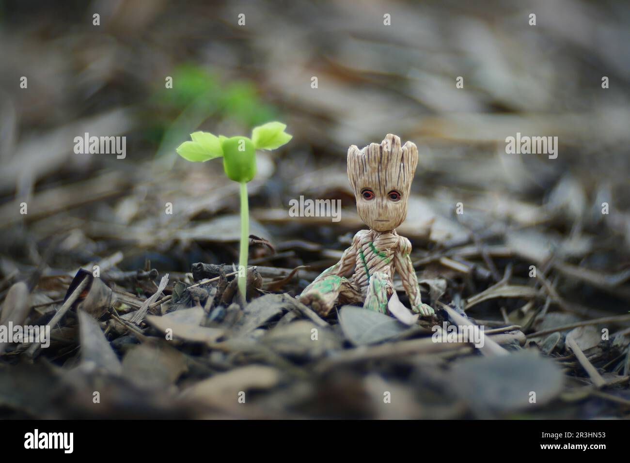 Baby Groot è seduto nel giardino verde del parco pubblico. Chiang mai, Thailandia. Foto Stock